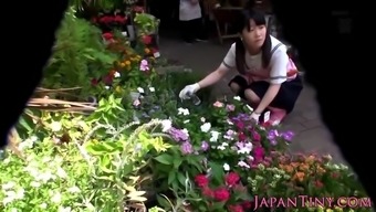 Tiny Japanese Florist Pussyfucked In Store