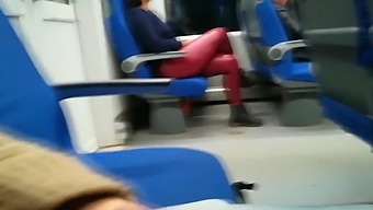 Public Voyeur, Female Stranger Sucked My Hard Dick On A Train