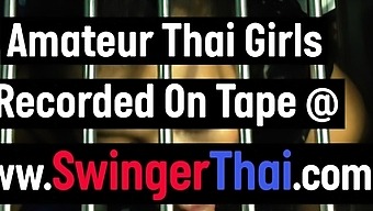 Caged Milf Amateur Thai Slut Pov Blowjob Through The Bars