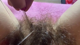 Huge Hairy Bush Measurement Long Pussy Hair Closeup