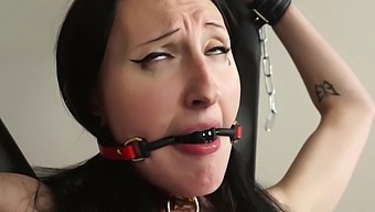 Dirty Shemale Tied Up Her Female Friend For Bdsm Sex - Alura Jenson