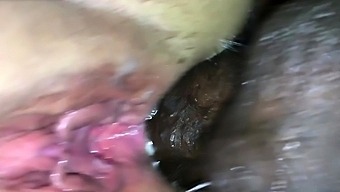 Spreading For Hard Anal Close Up