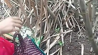 Outdoor Fuck In Sugarcane Field To Pink Saree Lover