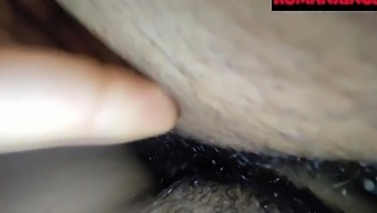Sofia Ansari New Porn Video Viral Sex