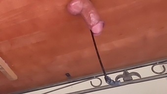 Amateur Mistress Uses Sex Toys To Pleasure Her Sub