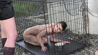 Bdsm Outdoor Fun With A Submissive Slave