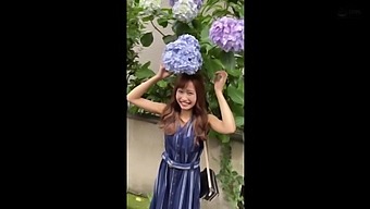 Wideo Hd Z Udziałem Azjatyckich Piękności W Japońskiej Scenie Erotycznej